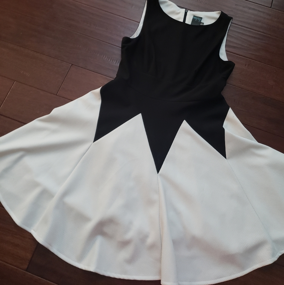 Black & Off White Fitted Flare Dress